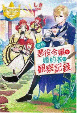 傲娇系列第3集